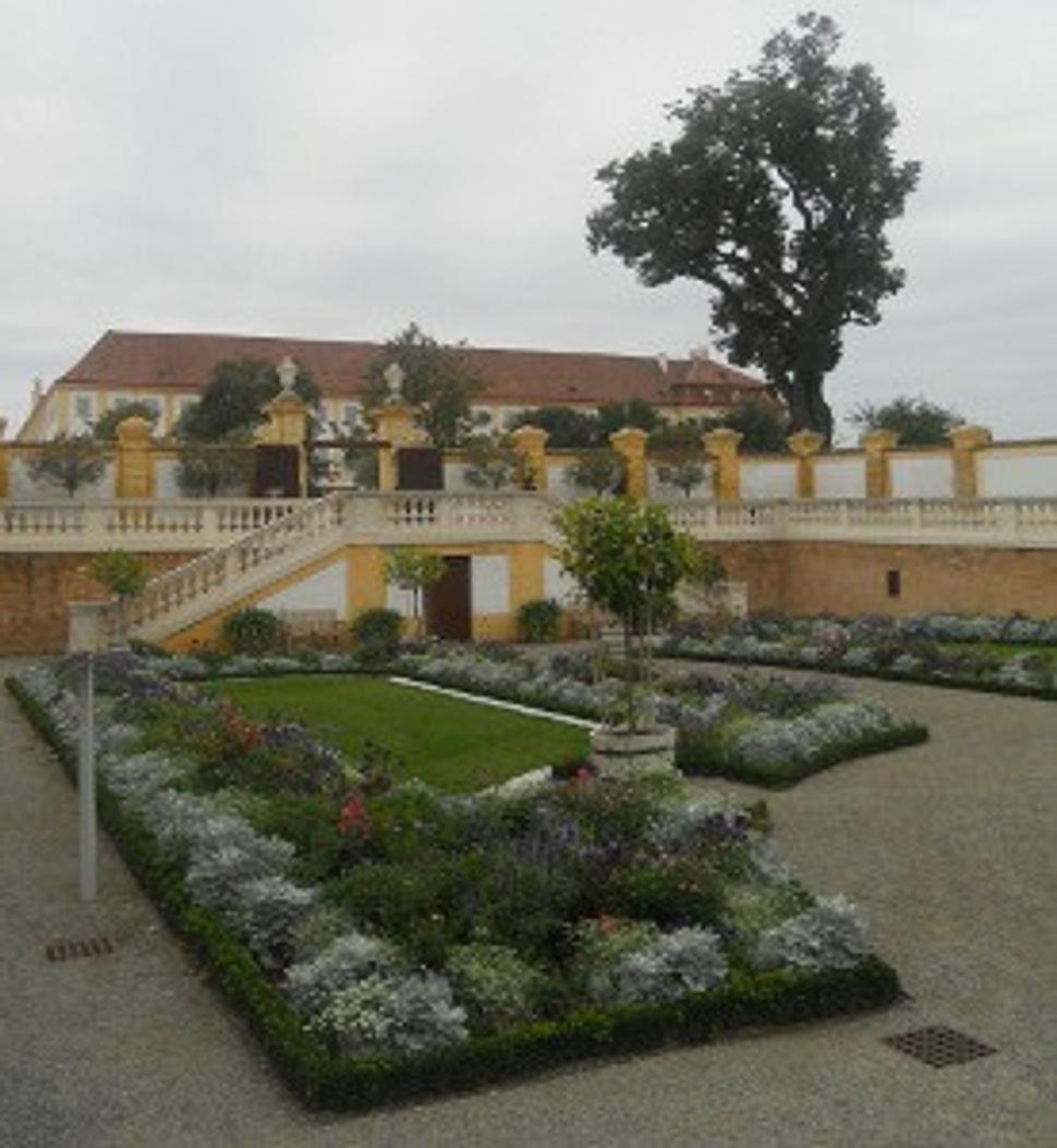 Obrázok blogu