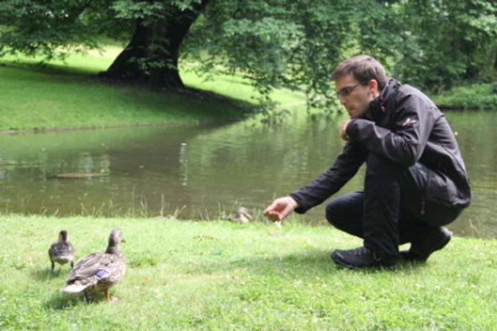 Obrázok blogu