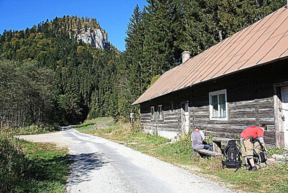 Obrázok blogu