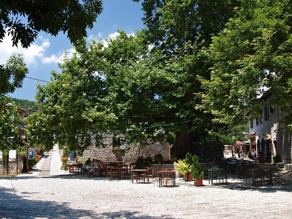 monodendri