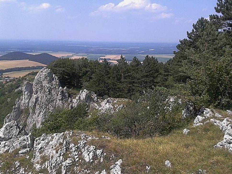 Obrázok blogu