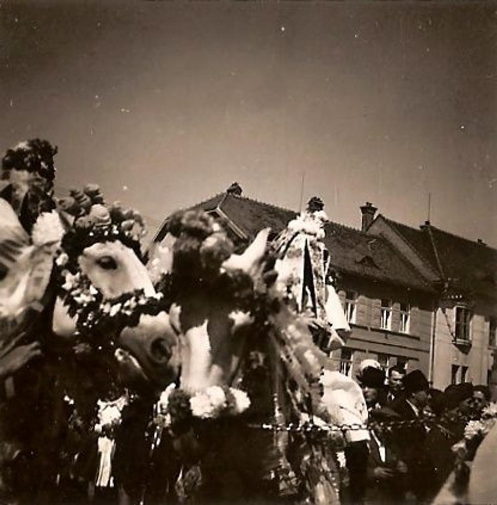 jízda králů