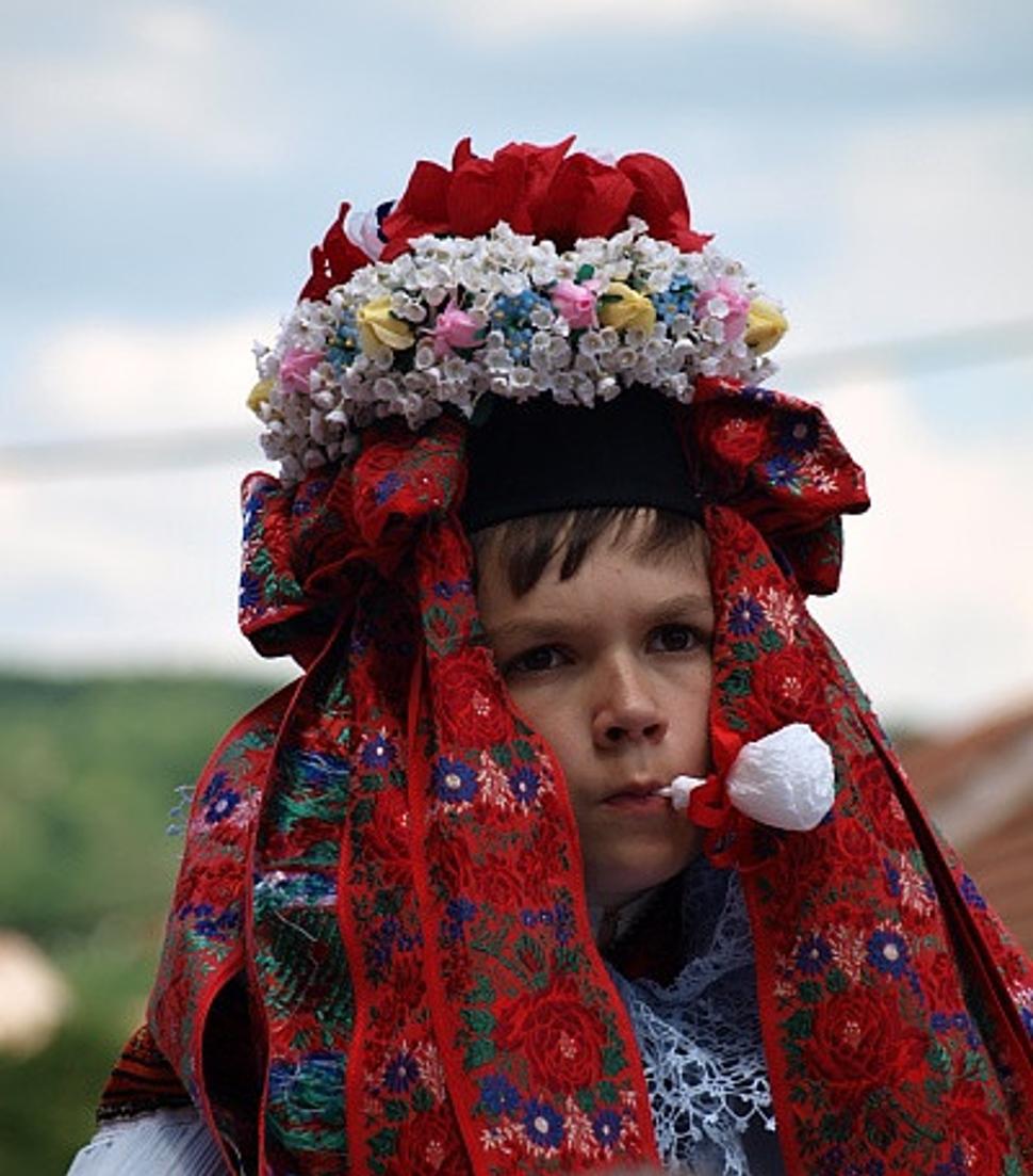 vlčnov