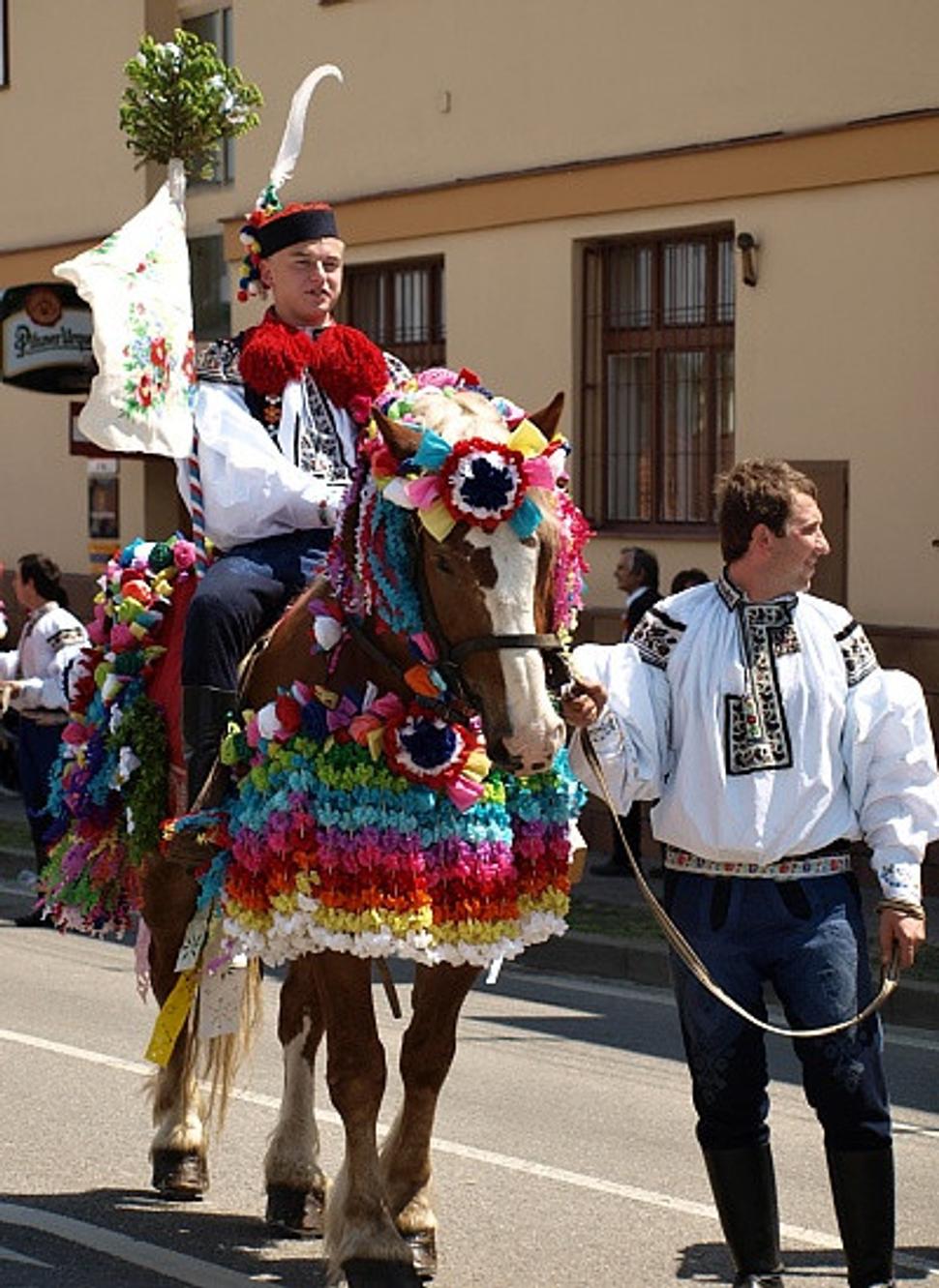 vlčnov
