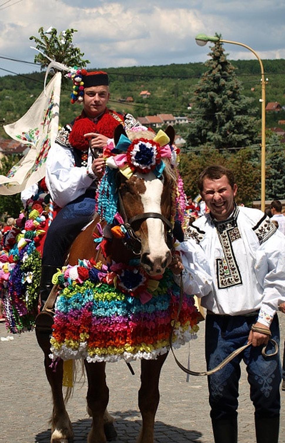 vlčnov