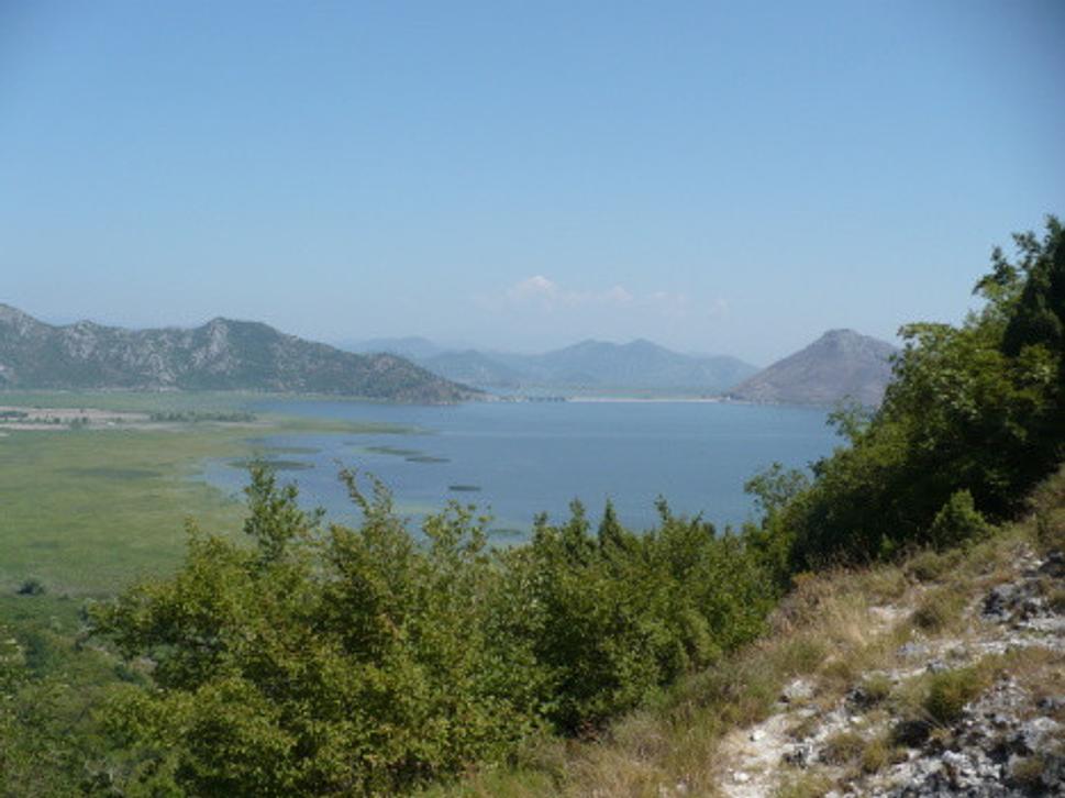 Obrázok blogu