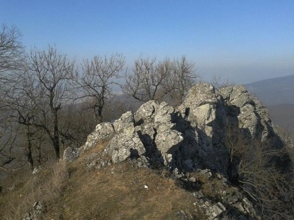 Obrázok blogu