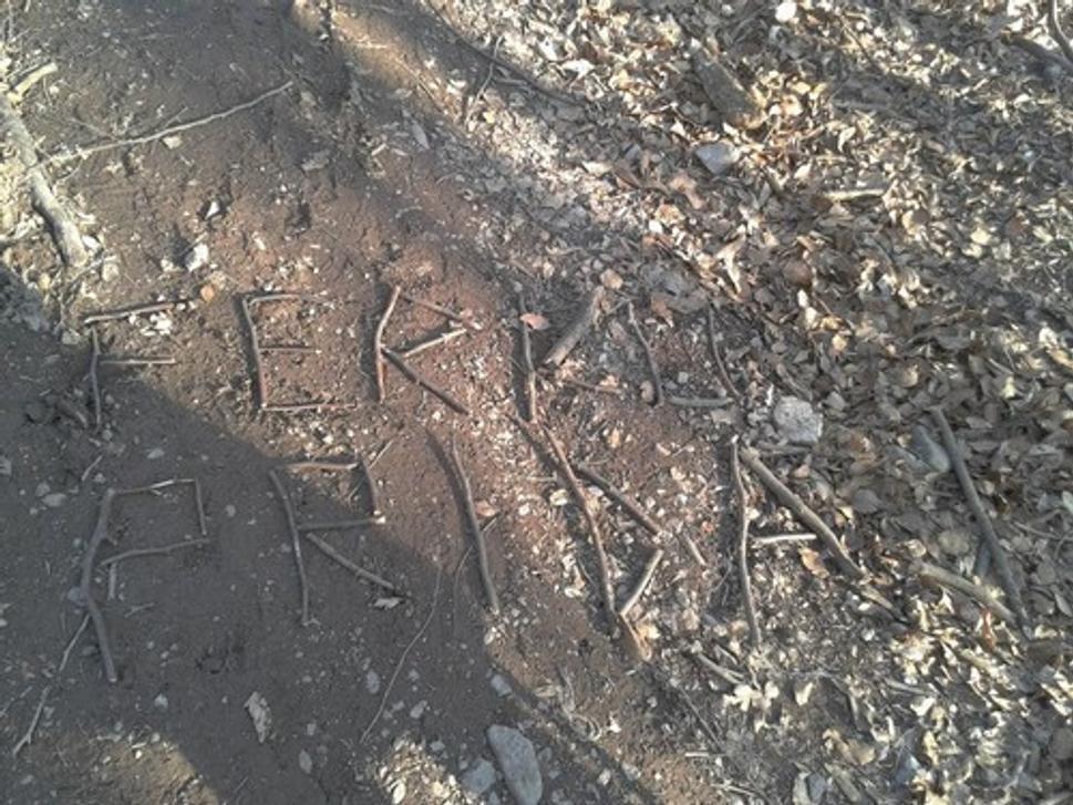 Obrázok blogu