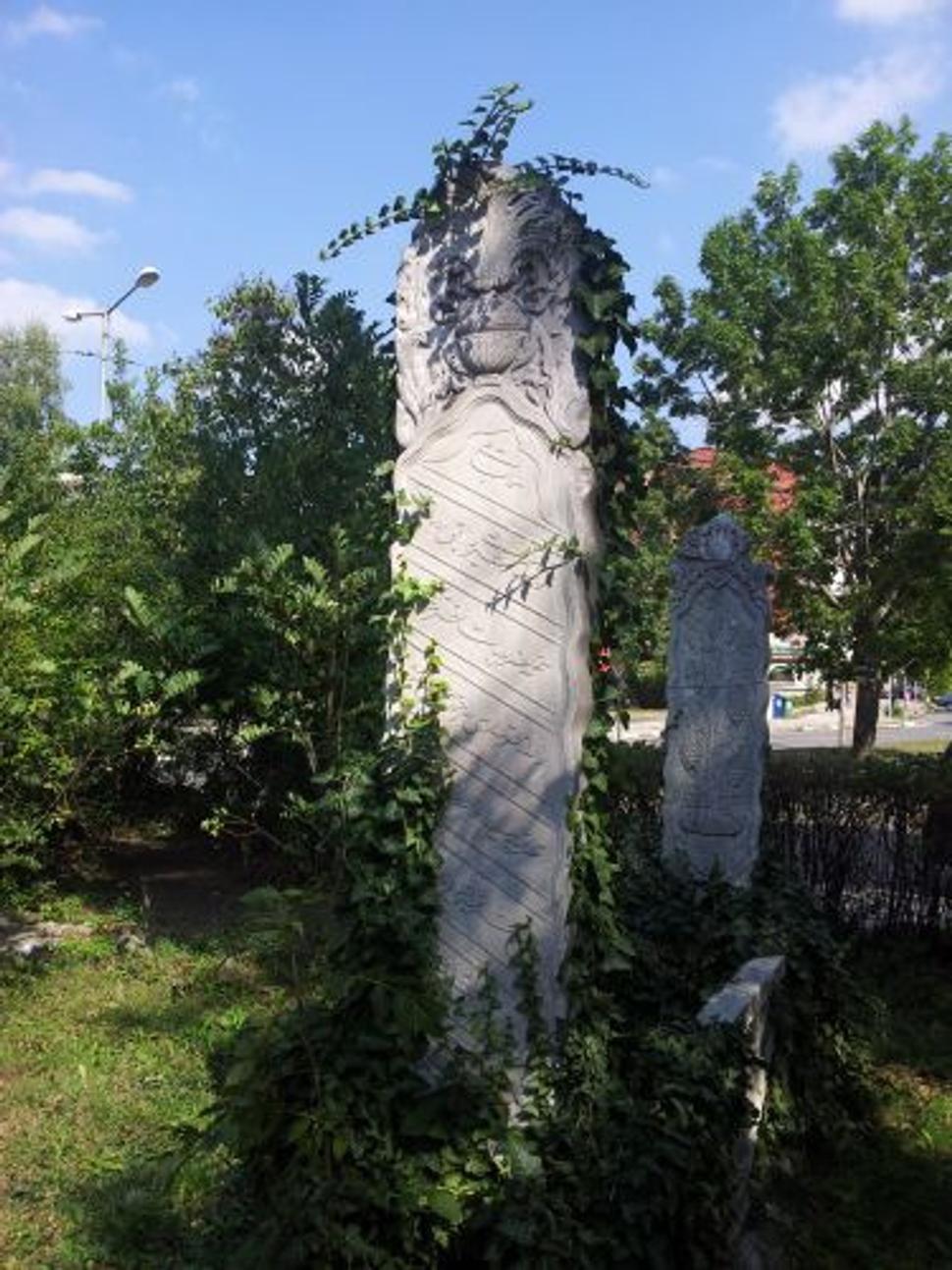 Obrázok blogu