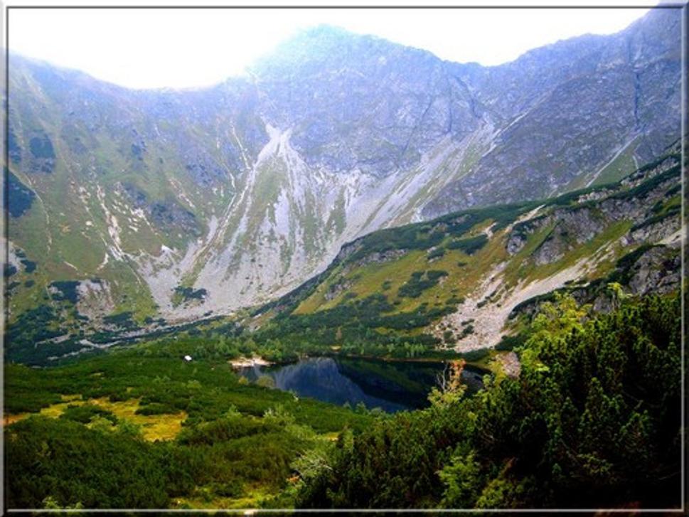 Obrázok blogu