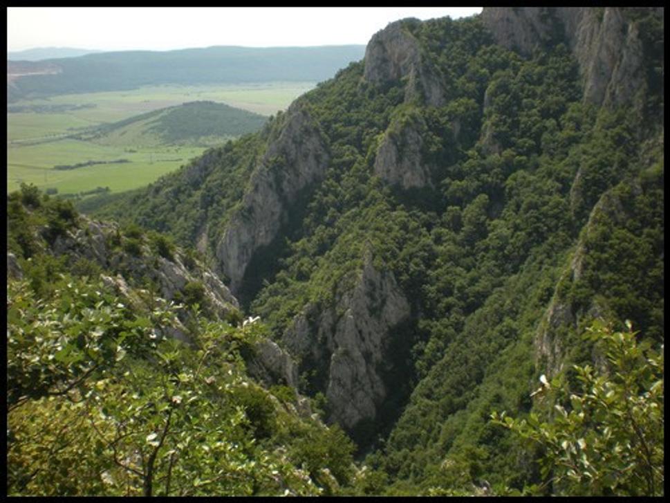vrchol
