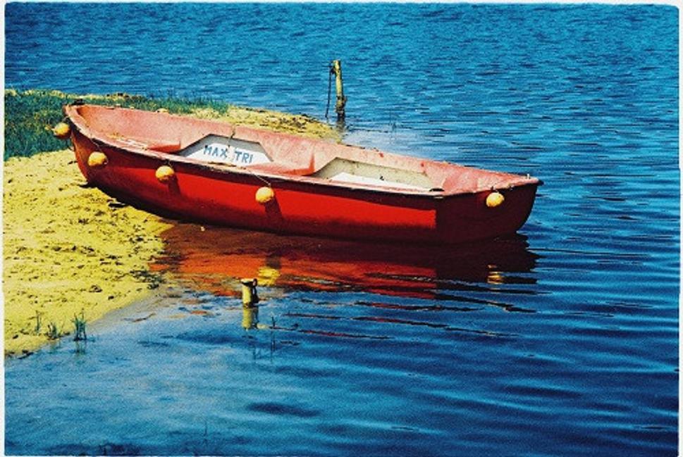 Obrázok blogu