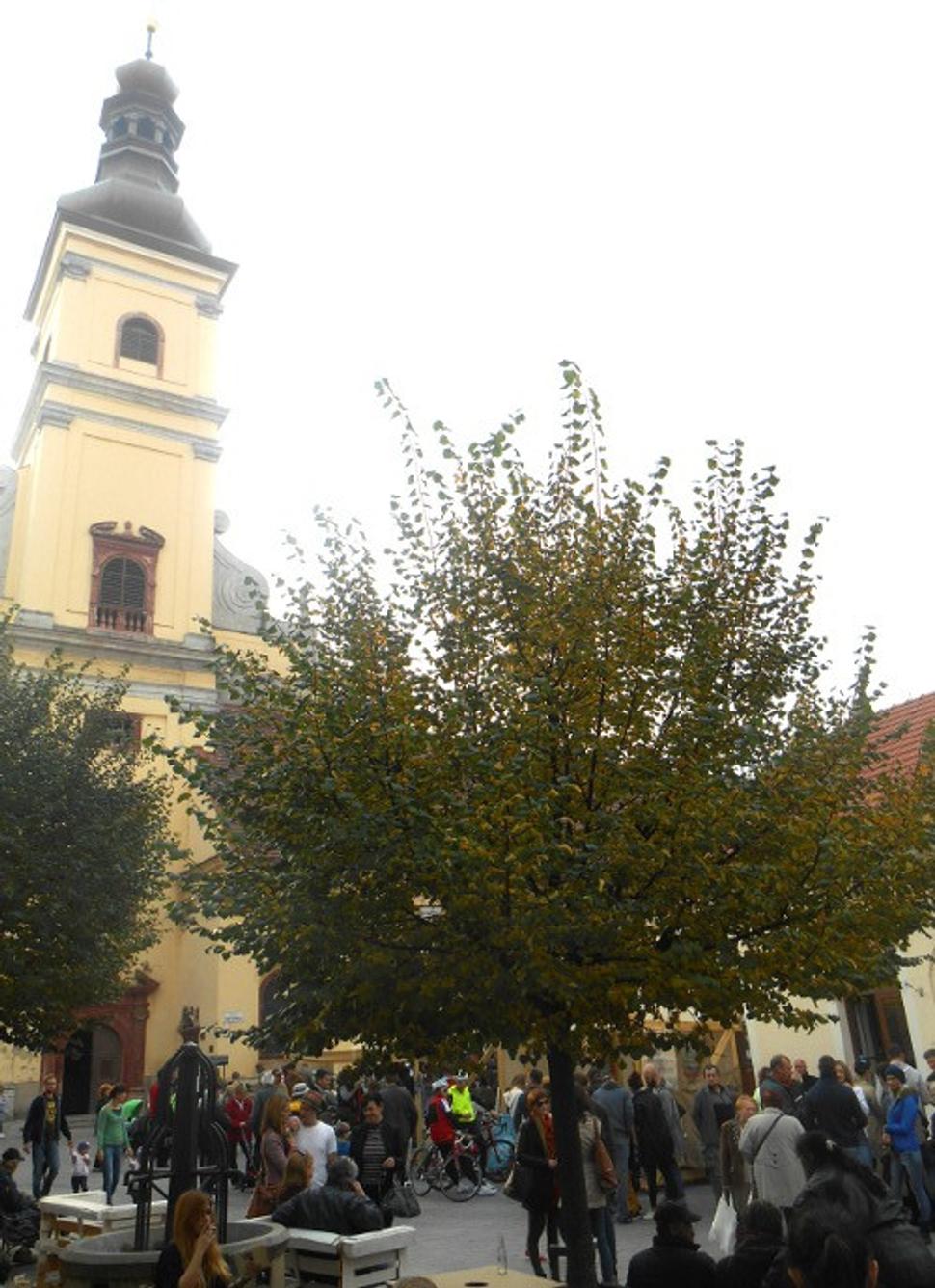 Obrázok blogu