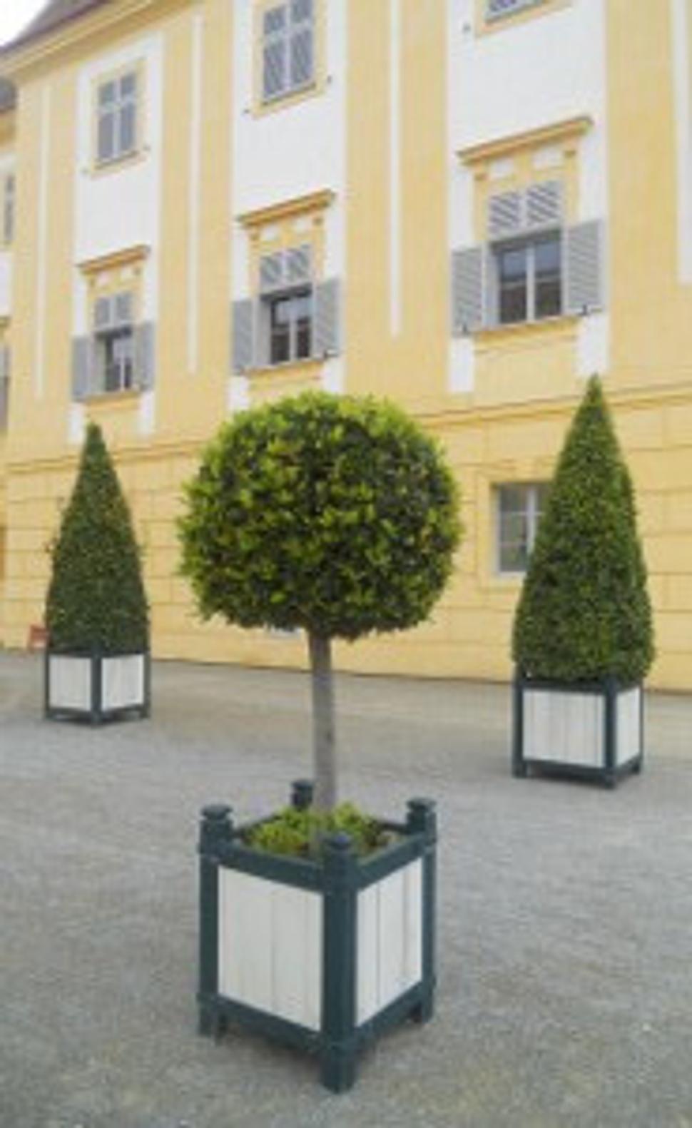 Obrázok blogu