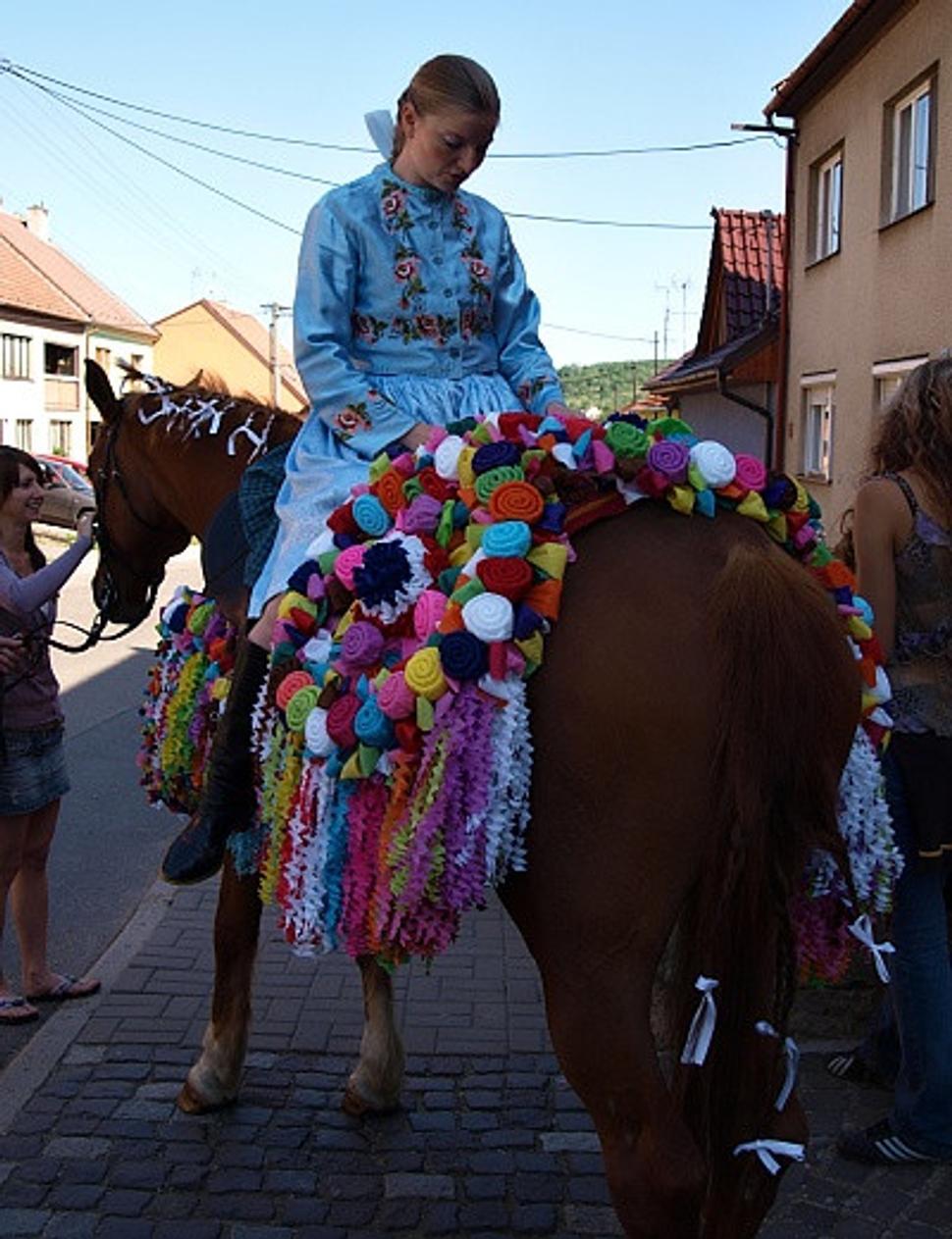 vlčnov