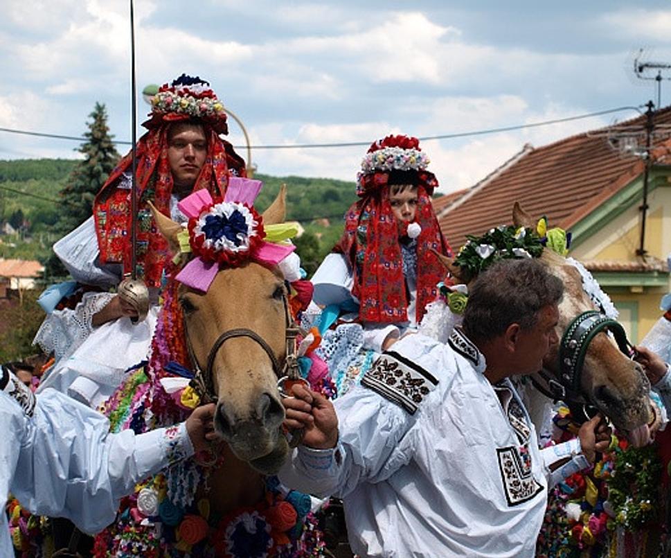 vlčnov