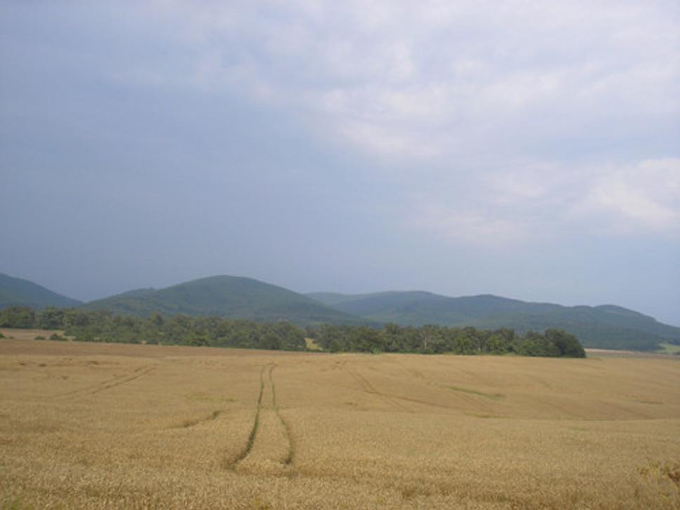 Obrázok blogu