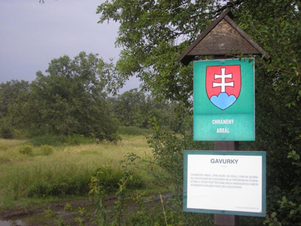 Obrázok blogu