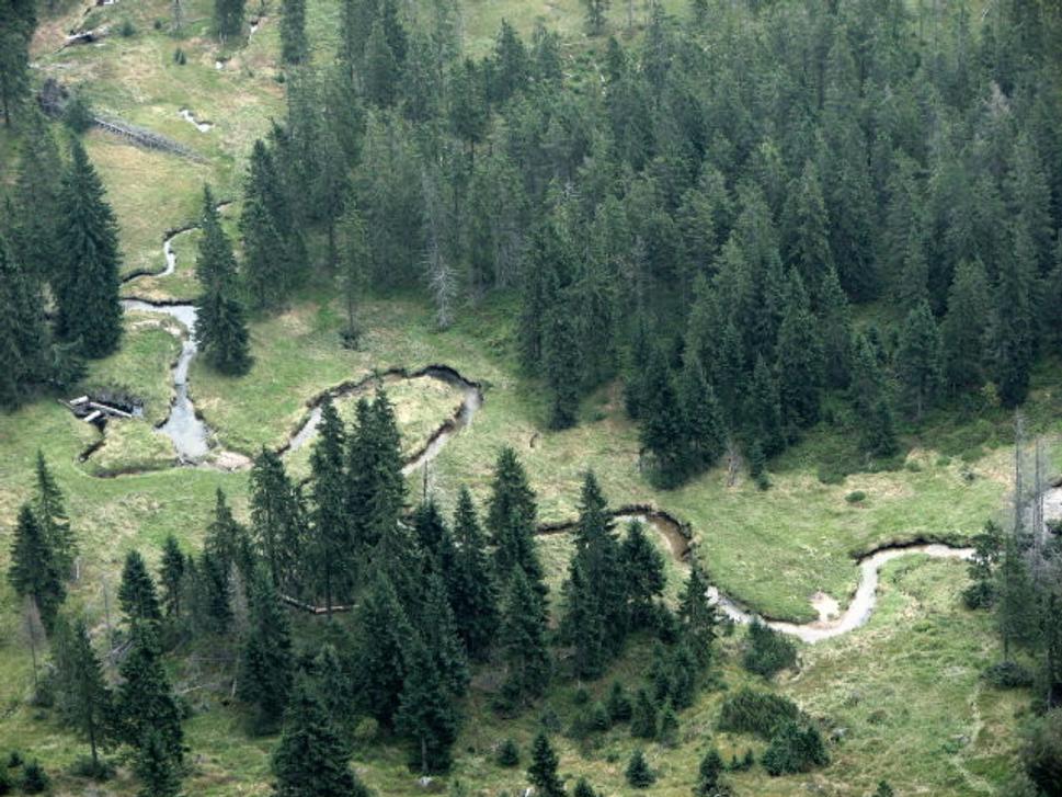 Obrázok blogu