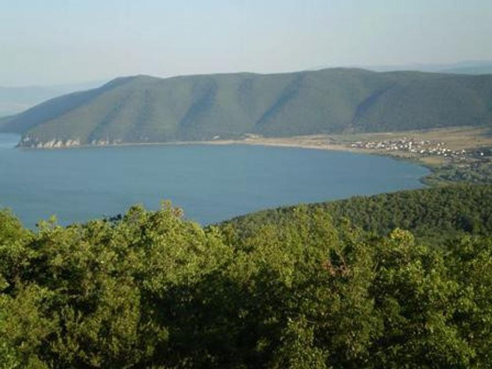 Obrázok blogu
