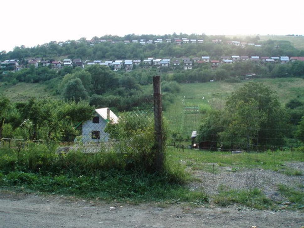 Obrázok blogu
