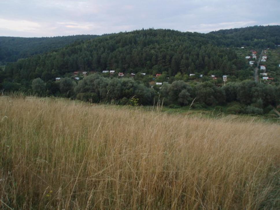 Obrázok blogu