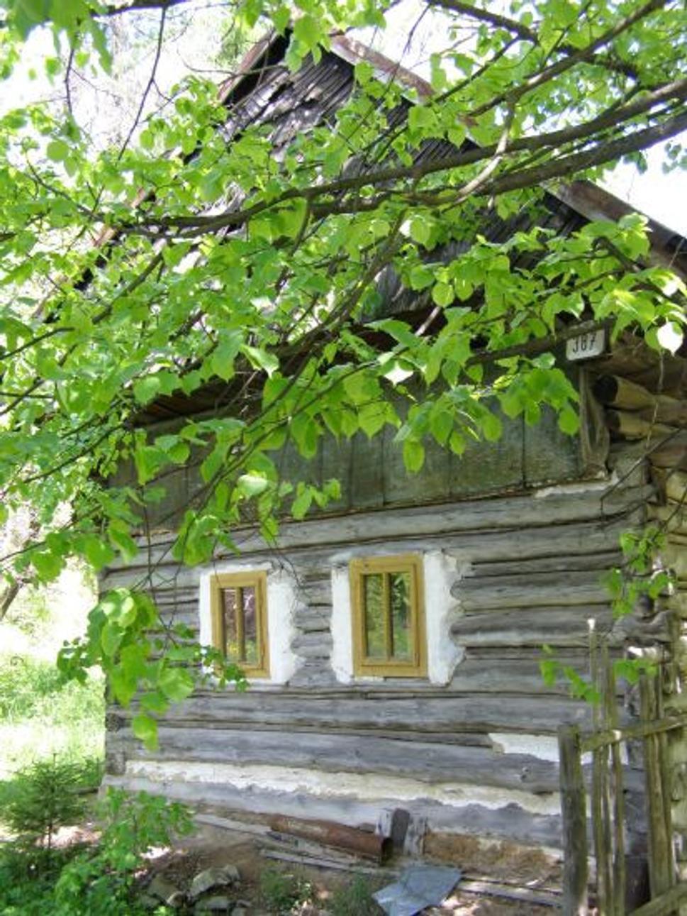 Obrázok blogu