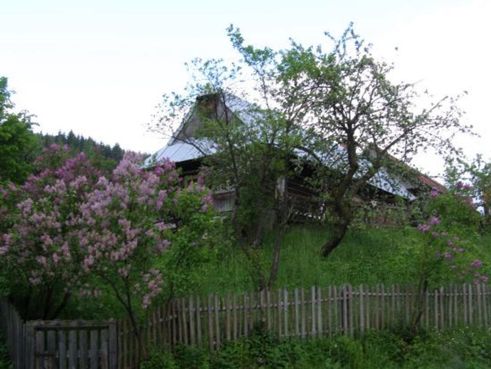 Obrázok blogu
