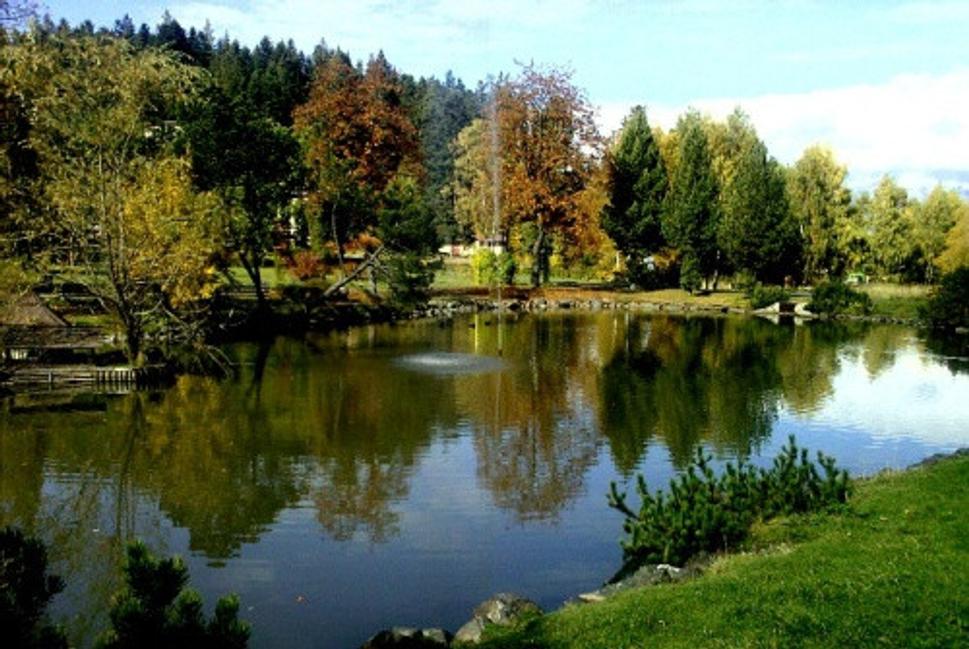 Obrázok blogu