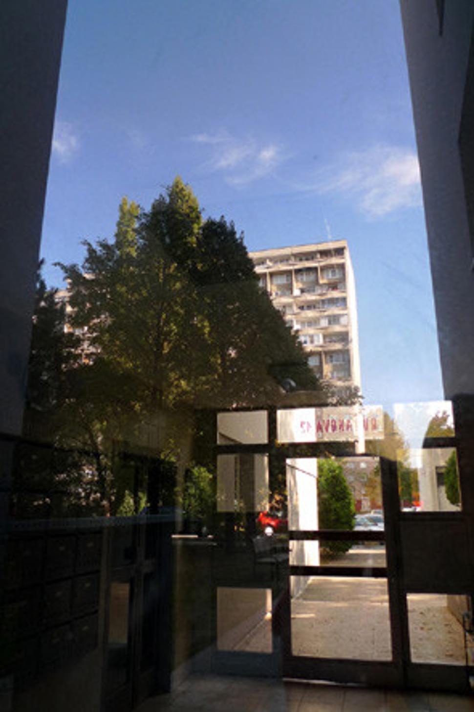 Obrázok blogu