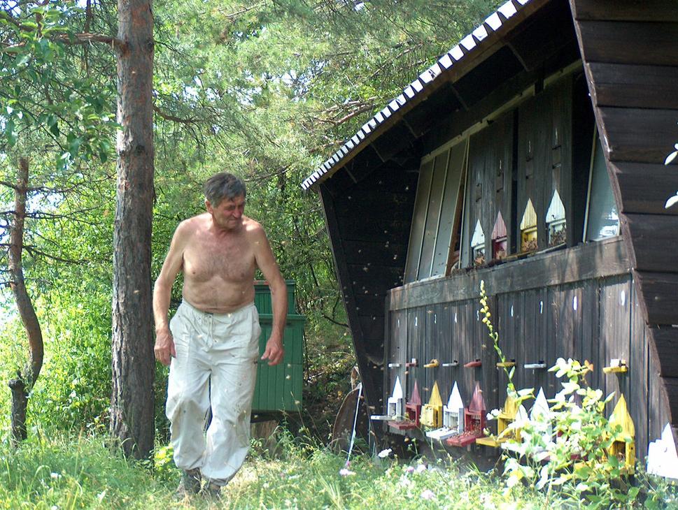 Obrázok blogu
