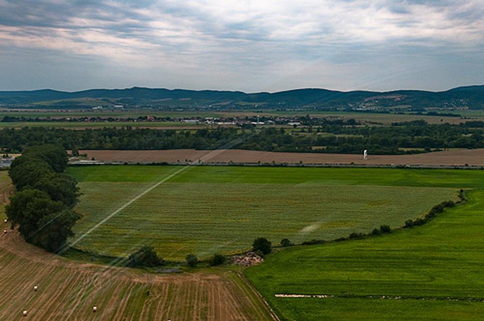 Obrázok blogu