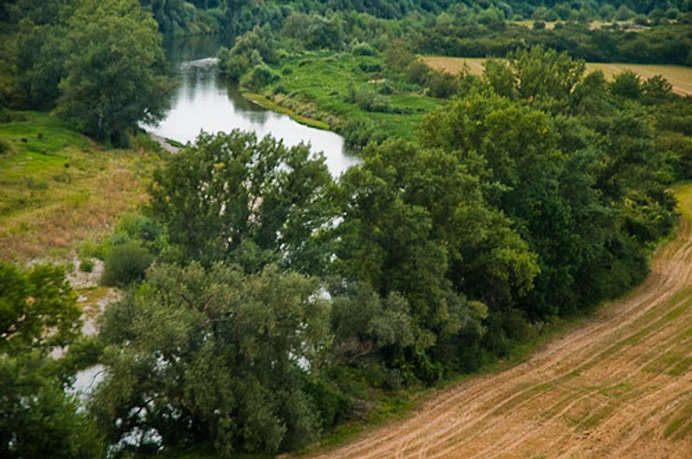 Obrázok blogu
