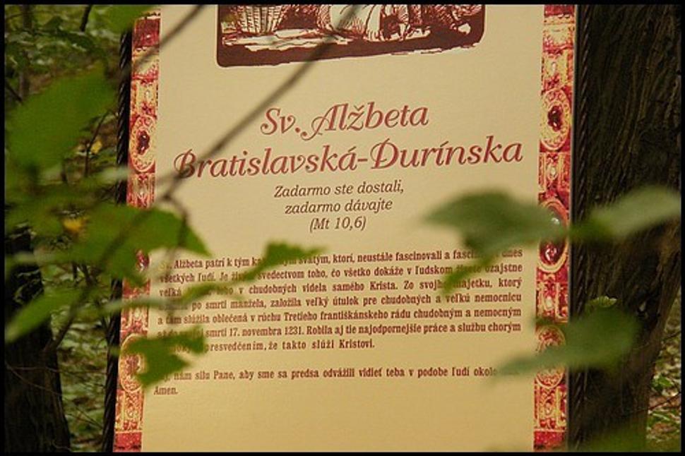 Obrázok blogu