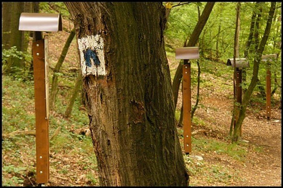 Obrázok blogu