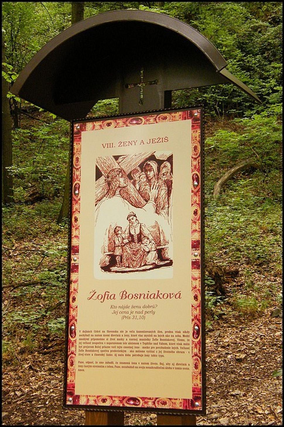 Obrázok blogu
