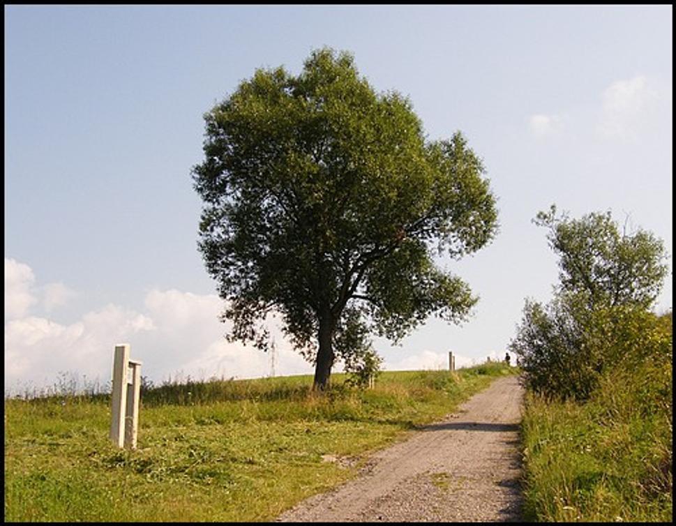 Obrázok blogu