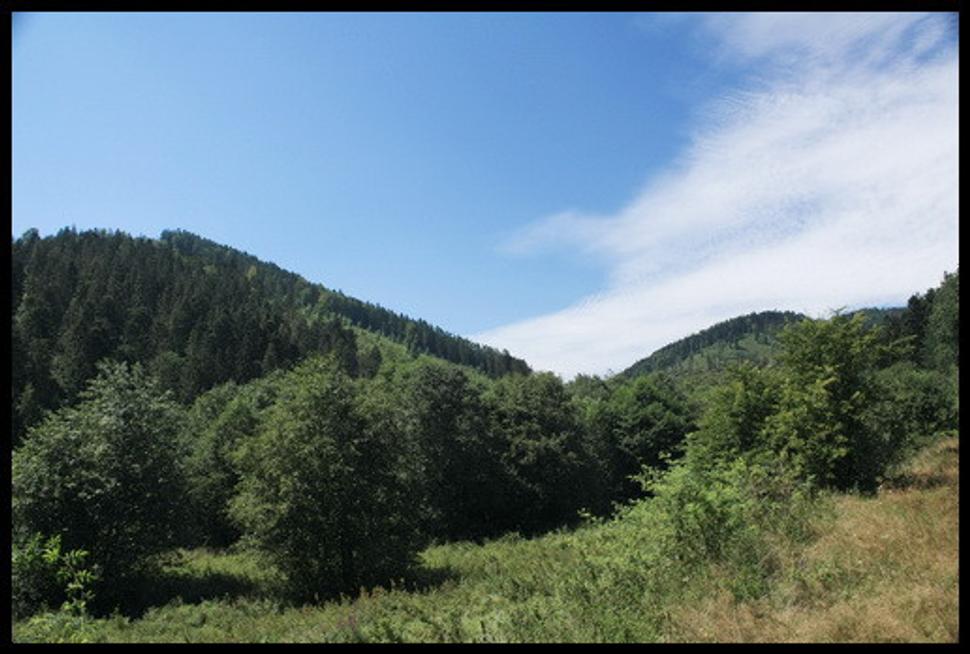 Obrázok blogu
