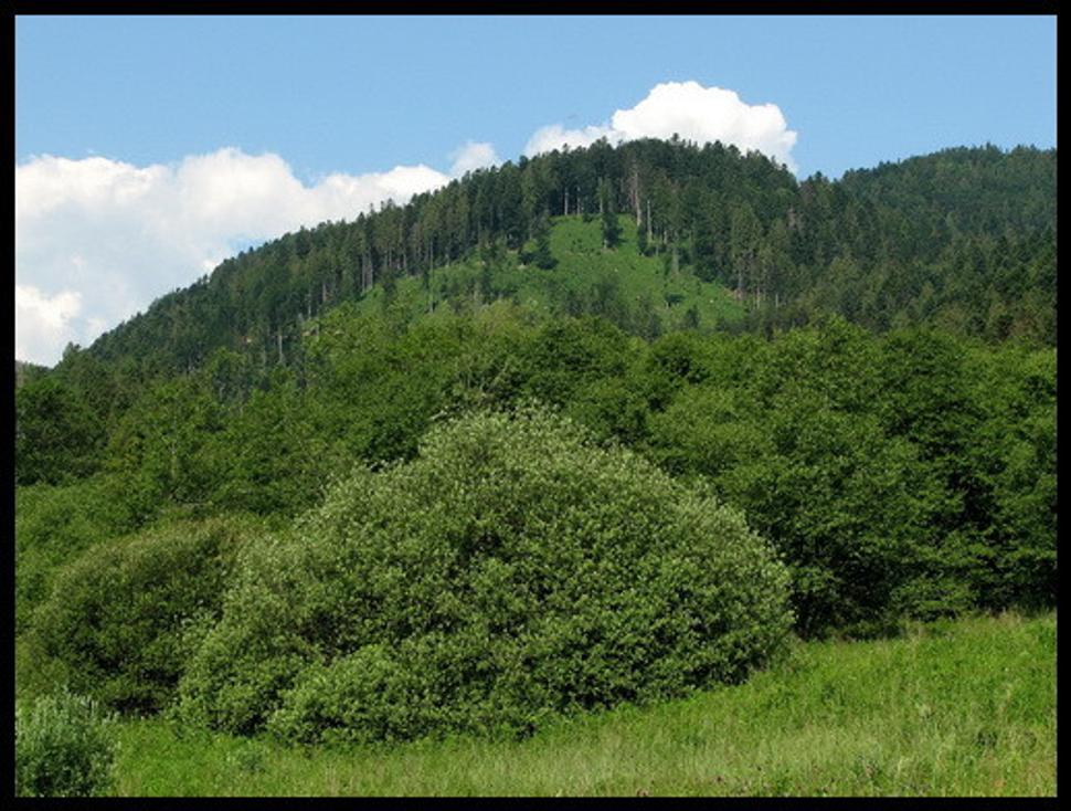 Obrázok blogu