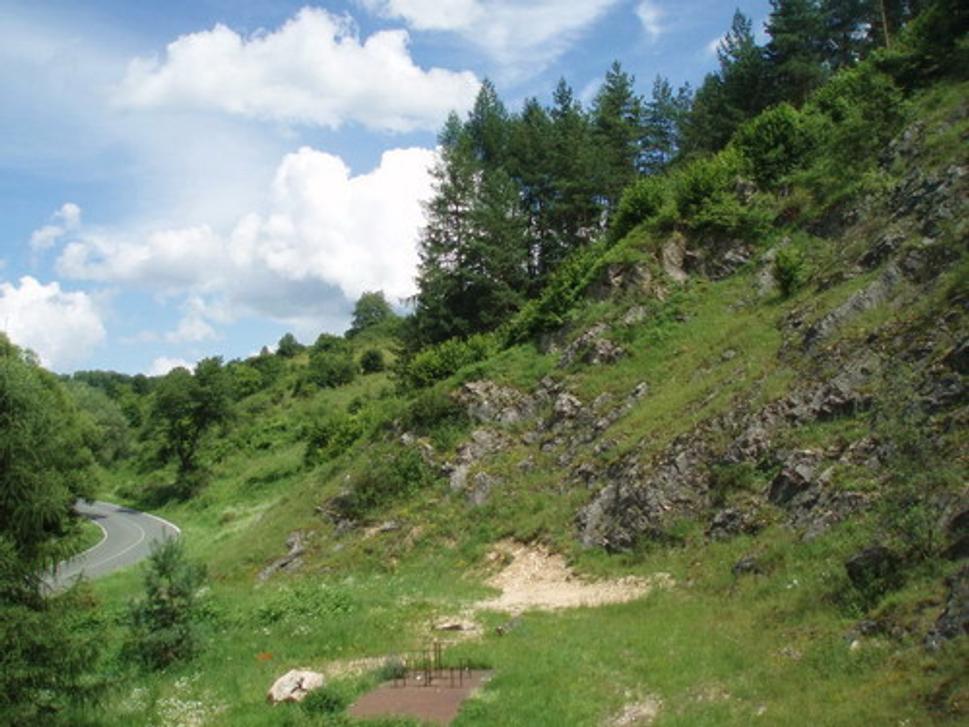 Skalný zráz hradného vrchu (pohľad zo skalnej plošinky na južnom konci zrázu)