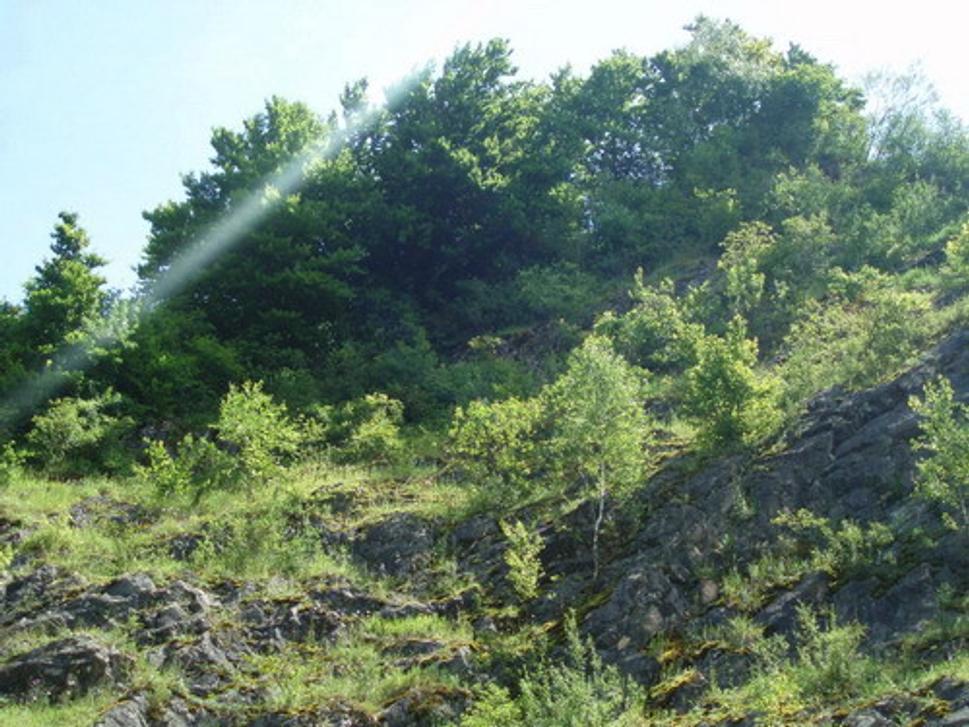 Skalný zráz hradného vrchu (vrchol)