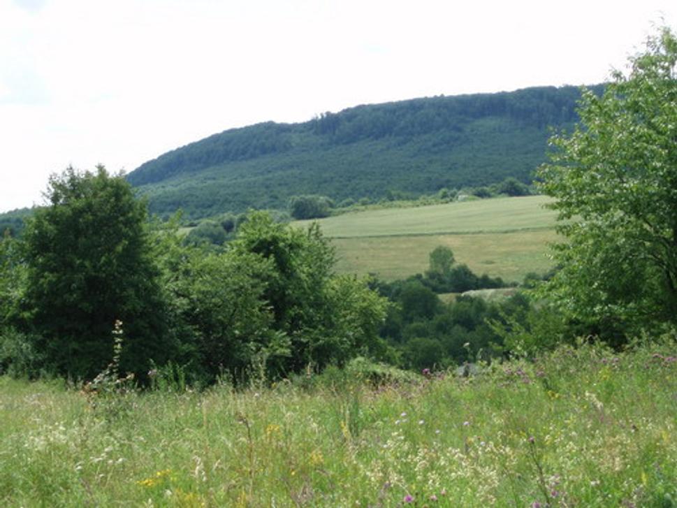 Lúky za hradným kopcom