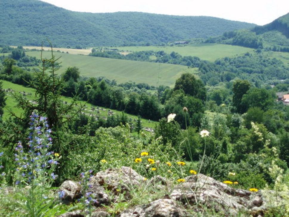 Vyhliadka na južnej strane planiny hradného vrchu (v pozadí Podhoroď, jej obecný cintorín a okolité hory)