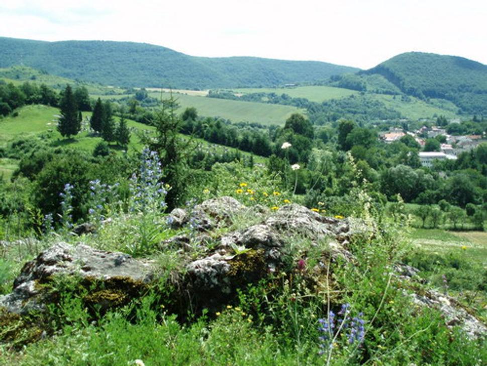 Vyhliadka na južnej strane planiny hradného vrchu (v pozadí Podhoroď, jej obecný cintorín a okolité hory)