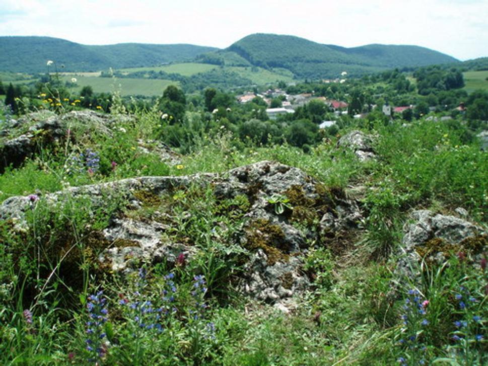 Vyhliadka na južnej strane planiny hradného vrchu (v pozadí Podhoroď, jej obecný cintorín a okolité hory)
