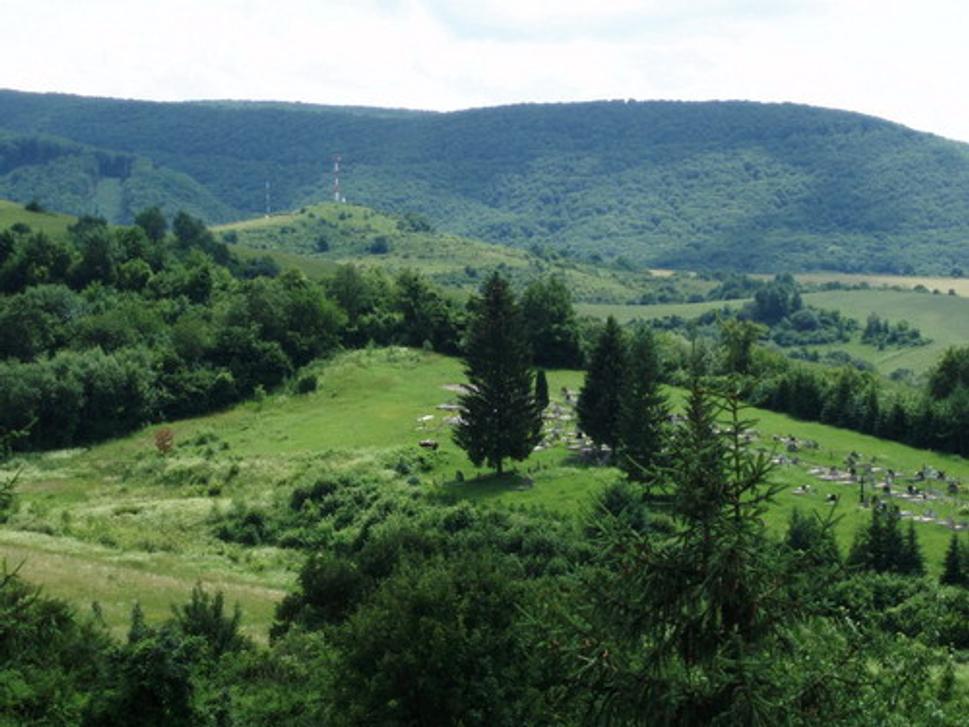 Vyhliadka na južnej strane planiny hradného vrchu (v pozadí Podhoroď, jej obecný cintorín a okolité hory)