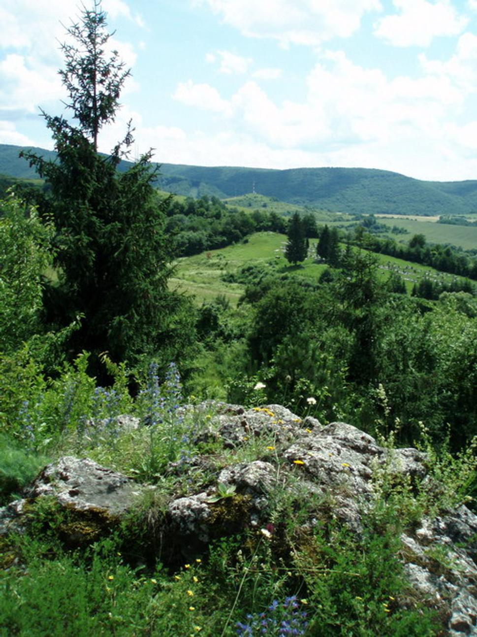 Vyhliadka na južnej strane planiny hradného vrchu (v pozadí Podhoroď, jej obecný cintorín a okolité hory)