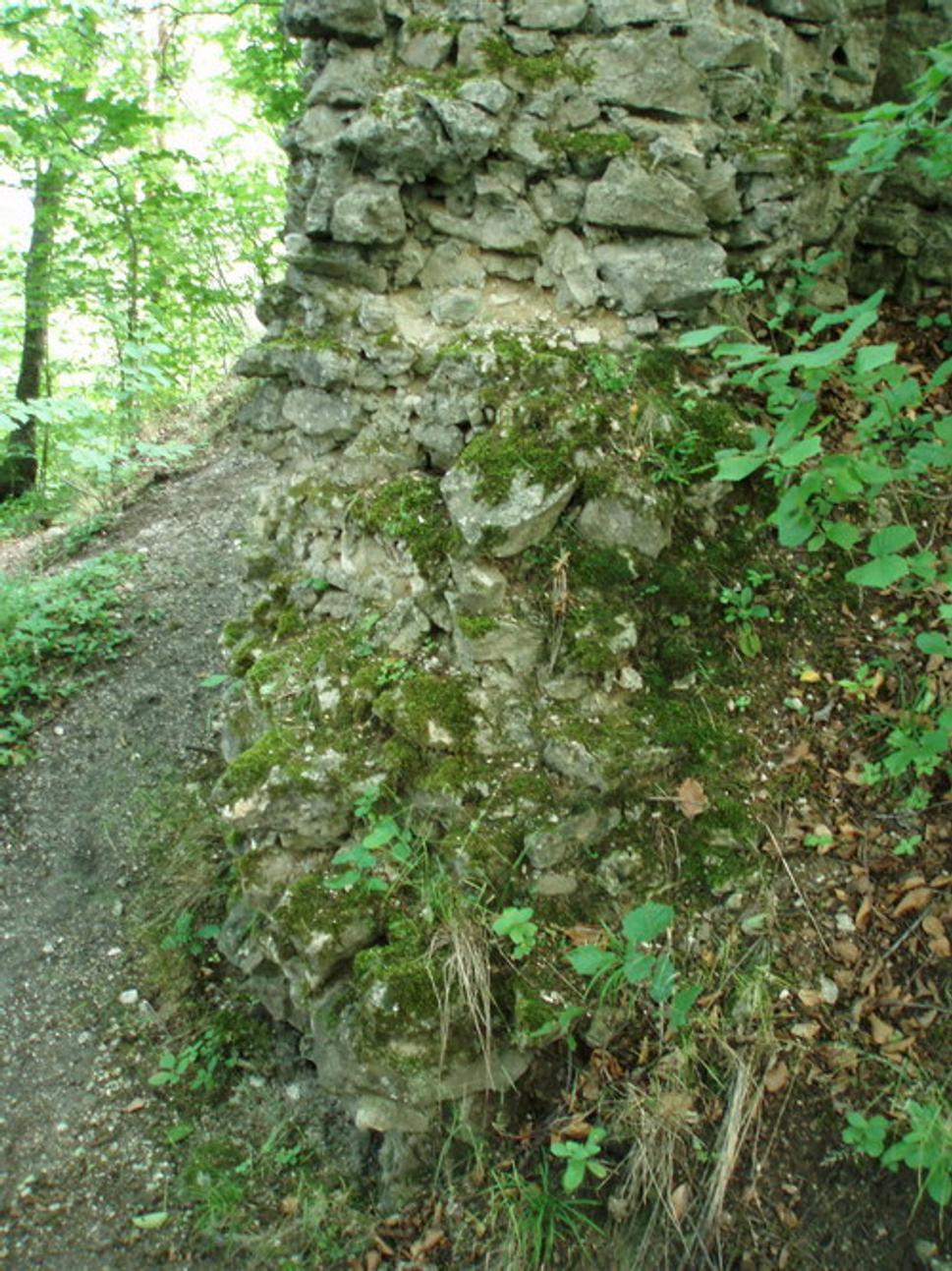 Veža (severná stena)