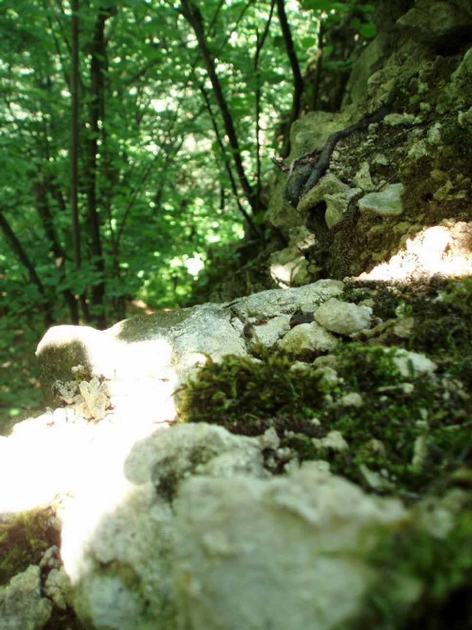 Veža (severozápadná stena)