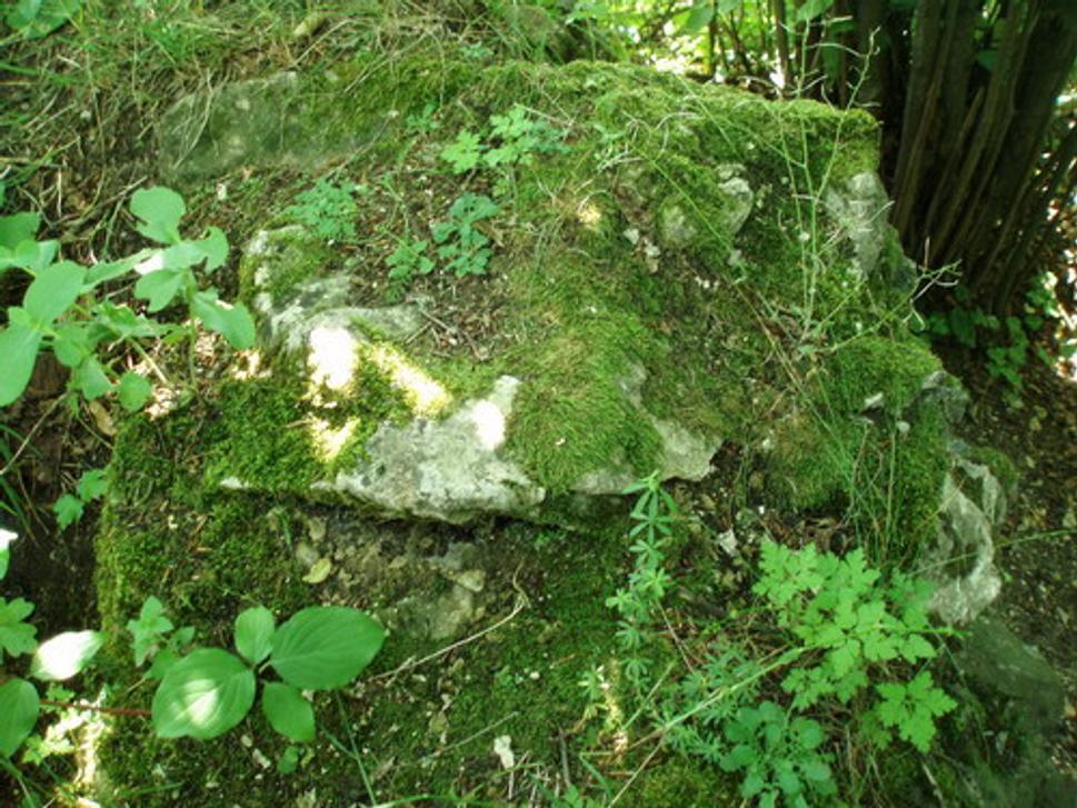 Veža (severozápadná stena)
